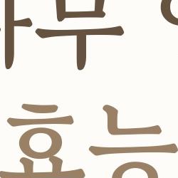 옻나무 열매 효능, 치매 막는 최신 연구에 다들 깜짝