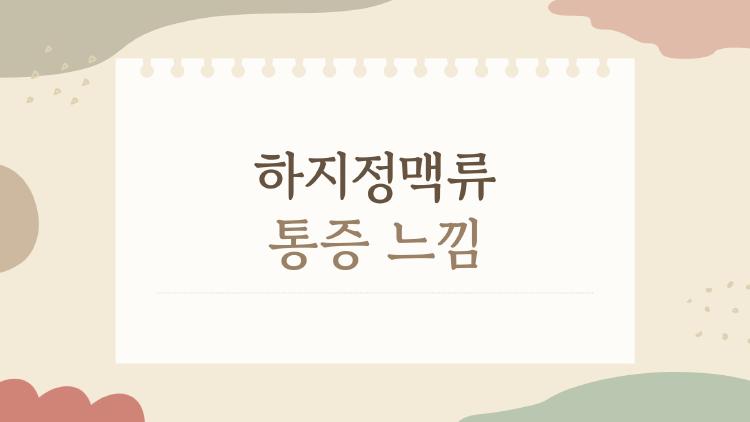 하지정맥류 통증 느낌