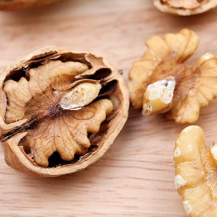 호두 효능 피부, 먹기만 해도 주름 싹! 2026년 최신 연구