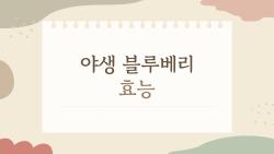 야생 블루베리 효능, 이것만 알고 먹어도 체질이 바뀐다?