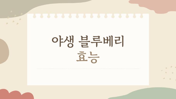 야생 블루베리 효능, 이것만 알고 먹어도 체질이 바뀐다?