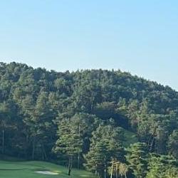 여주CC 그린피, 비싼 줄 알았는데 충격! 진짜 가격 공개